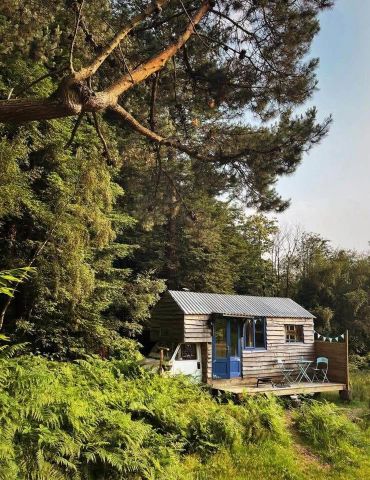 Tiny house shepherds hut, photo 4 of 4